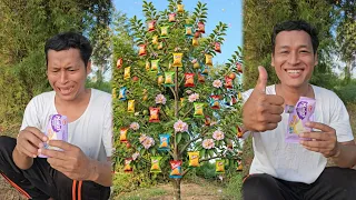 Survival Skills Growing in the Forest #survival #camping #outdoors #grow #forest #shorts