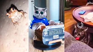 UNUSUAL MEMES COMPILATION V11