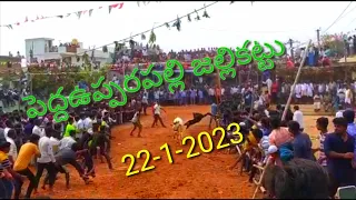 #peddaupparapalli (peddaupparapalli)PEDDA UPPARA PALLI