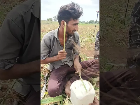 સરવણ ઠાકોર ઢોલી