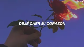 Adele - Set Fire To The Rain (Traducida al Español)