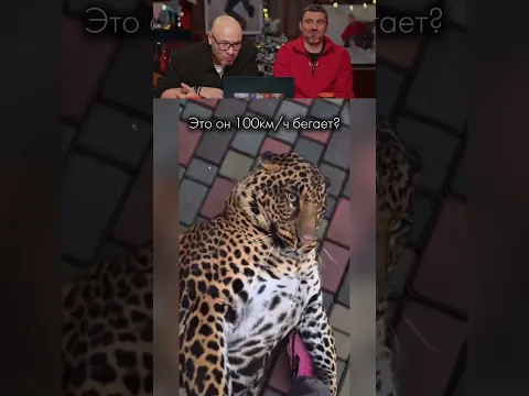 ЗАСМЕЯЛСЯ-ПОДПИСАЛСЯ! Ч.202😂ЛУЧШИЕ ПРИКОЛЫ🤣