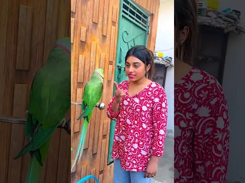 🦜होशियार तोता😍#video #parrot #training ❤️😍#video #love #parrotlover #video