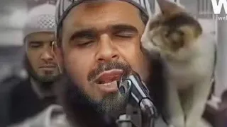 شاهد كيف تسلقت القطة على كتف الامام و قبلته   مشهد مؤثر ، سبحان الله