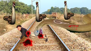 Anaconda Snake in Real Life Video 4 #2024 #anacondasnake