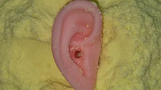 ASMR Live Stream | September 5, 2026