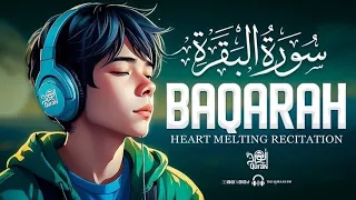 Surah Al-Baqarah Full | Beautiful Tilawat with Urdu Translation | Soothing Quran Recitation