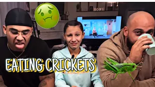 WE ATE CRICKETS!!!!!🦗