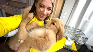LETS GO GET A PUPPY
