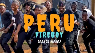 Fireboy - Peru (Dance Video)