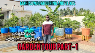 మా  గార్డెన్ టూర్ పార్ట్-1 చూడండి/my garden tour part-1/అరుదైన పండ్లు,పువ్వులు మొక్కలు/#gardentour