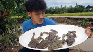 กินกบสด10 ตัวเกือบ..?? !! | จะกินได้ไหม ?
