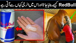 Redbull  The Energry Drink How It  Makes In Factory In Urdu Hindi