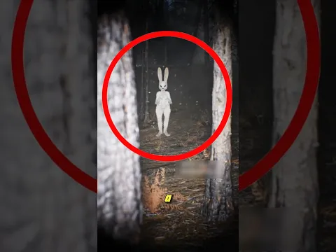 Si ves este conejo de Pascua ¡corre!😱🐰