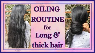 How To Apply Oil To Get Long & Thick Hair Faster | Oiling Tips for Healthy Hair #youtube #longhair