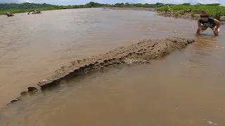 I Found a "River Monster": Face to Face with a 19ft Giant Crocodile!