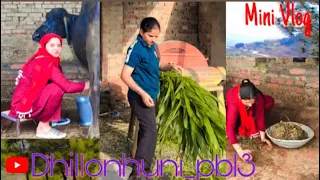 ਪੜੀ ਲਿਖੀ ਕੁੜੀ ਕਰਦੀ ਆ ਘਰ ਦੇ ਸਾਰੇ ਕੰਮ Dhillonhuni_pb13