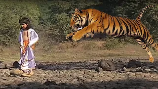 क्या हुआ था जब घने जंगल में भक्त ध्रुव के पीछे पड़ा बाघ - Bhakt Dhruv Katha @saibaba3350