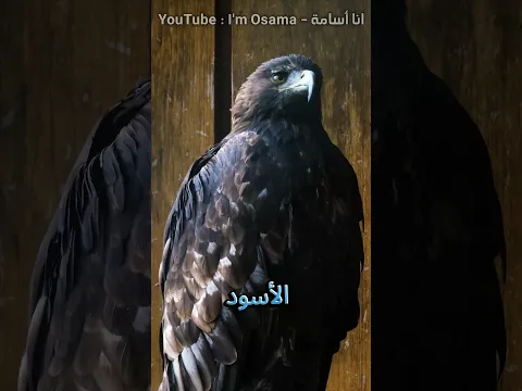 أسوأ ثلاث أمهات في عالم الحيوان !!! #shorts