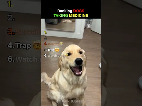 Ranking Dogs Taking Medicine