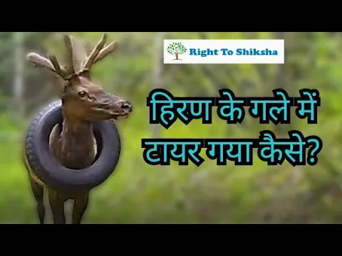 हिरण के गले में टायर गया कैसे होगा ? by Right To Shiksha