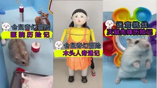 【仓鼠系列大合集】一口气看完喵小呜的布丁热门视频TOP30！捣蛋小仓鼠vs神奇的迷宫世界！