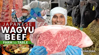 How Japanese Wagyu Beef is Graded | Farm to Table ★ ONLY in JAPAN