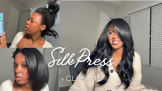 AT HOME Silk Press Type 3-4 Hair | DRUGSTORE Recs + Clip-in Install