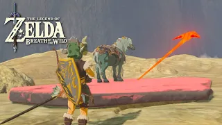 The Dumbest Breath Of The Wild Player