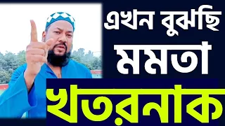 'পাঁচ বছরে মমতার গোড়া কেটে দেব' একি বললেন পীরজাদা ।