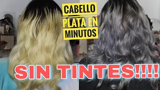 Aceniza tu cabello sin tintes / CABELLO PLATA SIN TINTE Y CANAS MATIZADAS/Lizzmuller