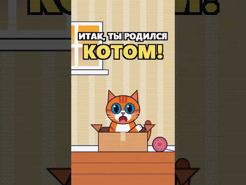 Итак, ты родился котом 🐱 #shorts