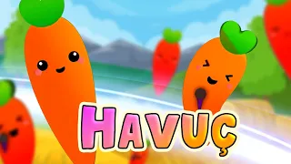 Havuç | Cennet Kuşları Bebek Türkçe طيور الجنة