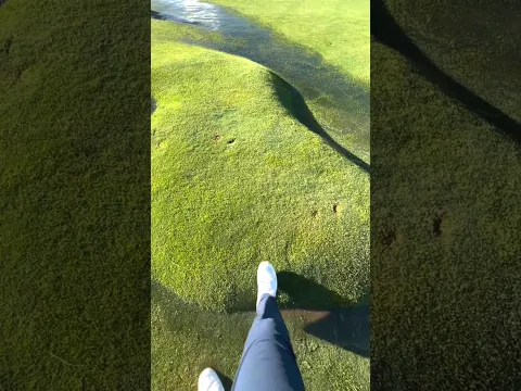 এরকমের নরম ঘাস দেখলে কাছে যাবেন না 🟩।