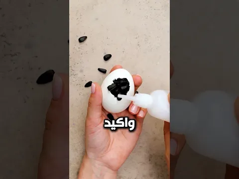 لما تخطب واحدة مجنونة وقلبها ميت 😂