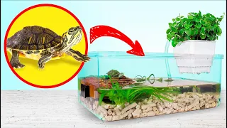 Cara Membuat Terarium Kura-Kura Brasil di Rumah 🐢🌿