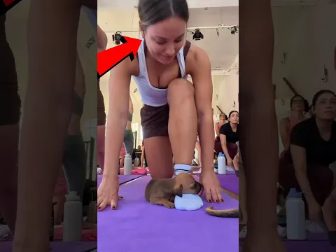 Pensó que sería una clase de yoga normal y terminó derritiendo corazones 🥹❤️