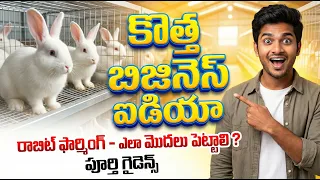 కొత్త బిజినెస్ ఐడియా – రాబిట్ ఫార్మింగ్ బిజినెస్ | How To Start Rabbit Farming Business In Telugu