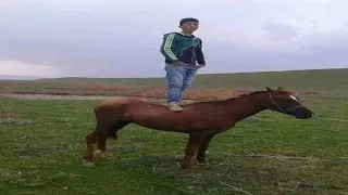 Top 5 Memes of the day
