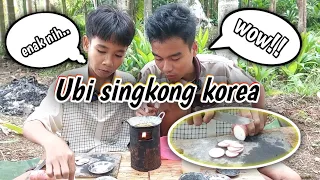 Masak ubi singkong pake wajan mini