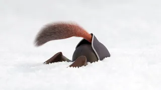 He Asked Me to Animate THIS for 3 MONTHS