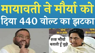 Swami Prasad Maurya Mayawati को देख भागे Swami Prasad Maurya Mayawati विधानसभा फाजिलनगर मे मिला झटका