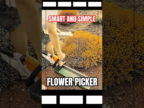 Flower harvester tool strips small blooms 3x faster — no scissors, no stem damage ⚙️ #agriculture