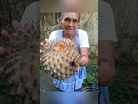 Comprando frutas exóticas de #elsalvador las deliciosas Sincuyas 😋 #youtuberosalvadoreño