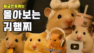 [특집] 김햄찌 몰아보기