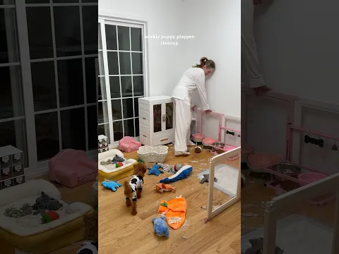 weekly reset 🧹🧽🧺 #cleaningvideos #asmrcleaning #shorts #dog #puppy