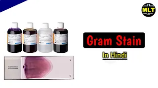 Gram Stain principle || Gram Stain procedure in hindi