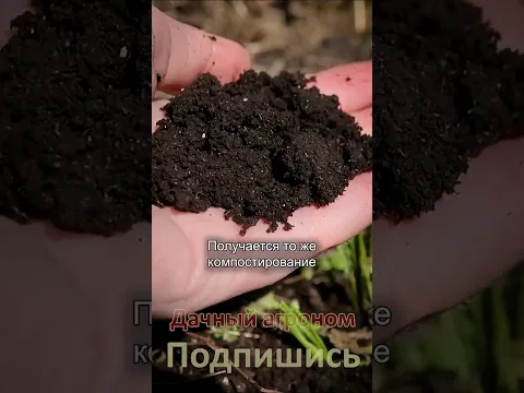 Удобрения НЕ НУЖНЫ если ваша ЗЕМЛЯ КАК ХЛЕБ Дачный агроном