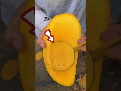 Mangga Baru China yang Menakjubkan! #shortsvideo