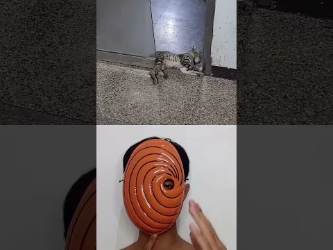 ¡¡Milo Peligro Puerta Se Cierra!! 🚪😱